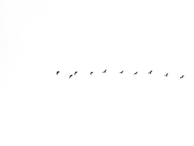 法语笔译的一些翻译技巧学习介绍