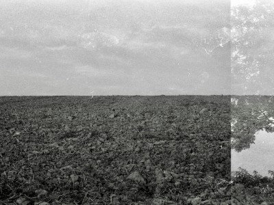 常用法语句子分享学习