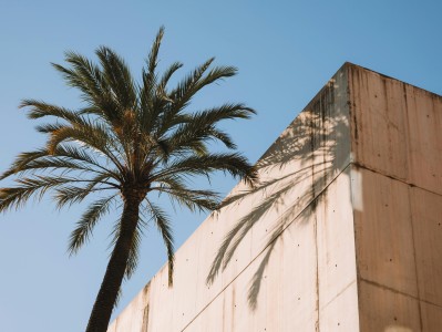 四大法语翻译网站